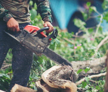 Asian man cutting trees using an electrical chainsaw