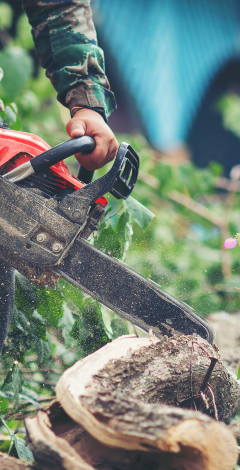 Asian man cutting trees using an electrical chainsaw