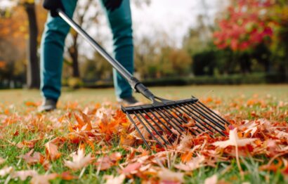 closeup-rake-picking-up-fallen-leaves-autumn