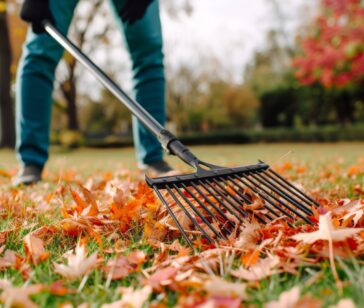 closeup-rake-picking-up-fallen-leaves-autumn