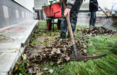 gardener-raking-fall-leaves-garden